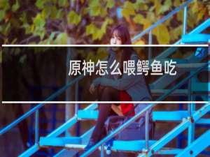 原神怎么喂鳄鱼吃