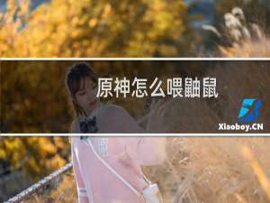 原神怎么喂鼬鼠