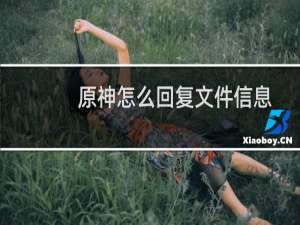 原神怎么回复文件信息