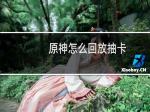 原神怎么回放抽卡