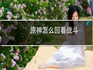 原神怎么回看战斗