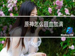 原神怎么回血加满