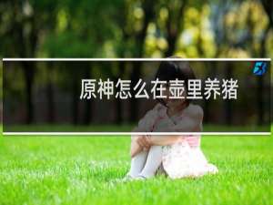原神怎么在壶里养猪