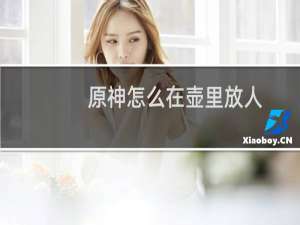 原神怎么在壶里放人