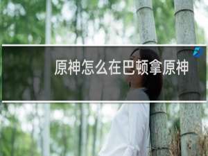 原神怎么在巴顿拿原神