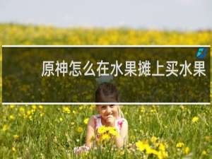 原神怎么在水果摊上买水果
