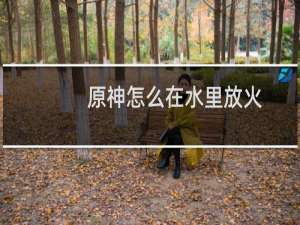 原神怎么在水里放火