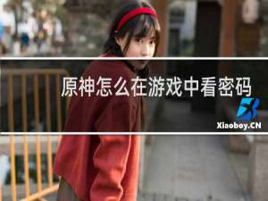 原神怎么在游戏中看密码
