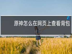 原神怎么在网页上查看背包