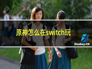 原神怎么在switch玩