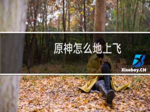 原神怎么地上飞