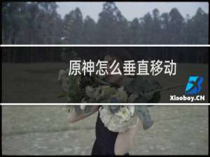 原神怎么垂直移动