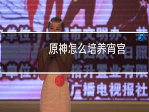 原神怎么培养宵宫