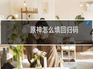 原神怎么填回归码