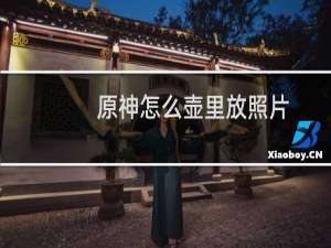 原神怎么壶里放照片