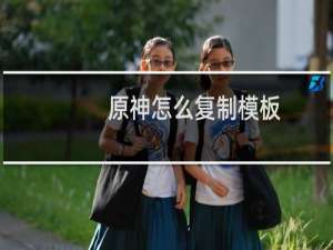 原神怎么复制模板