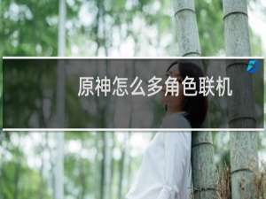 原神怎么多角色联机