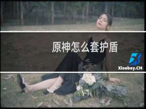 原神怎么套护盾