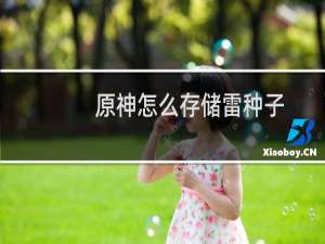 原神怎么存储雷种子