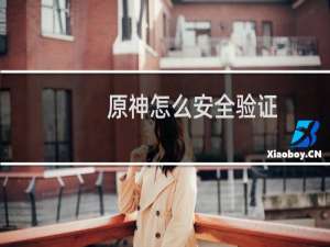 原神怎么安全验证