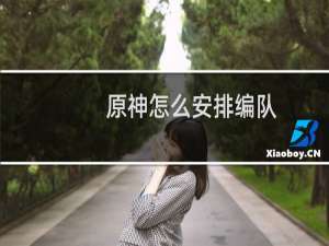 原神怎么安排编队