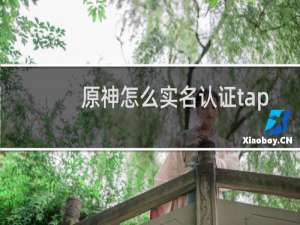 原神怎么实名认证tap