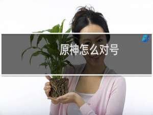 原神怎么对号