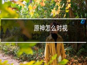 原神怎么对视