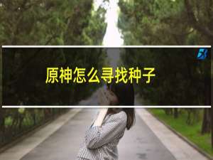 原神怎么寻找种子