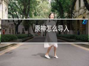 原神怎么导入