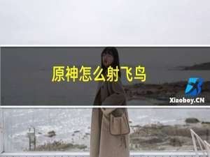 原神怎么射飞鸟