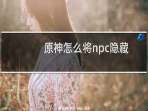 原神怎么将npc隐藏