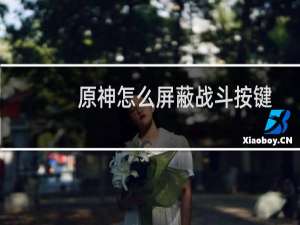 原神怎么屏蔽战斗按键