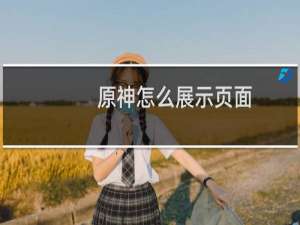 原神怎么展示页面