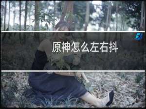 原神怎么左右抖