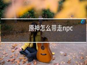 原神怎么带走npc