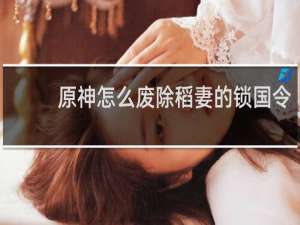 原神怎么废除稻妻的锁国令