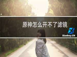 原神怎么开不了滤镜