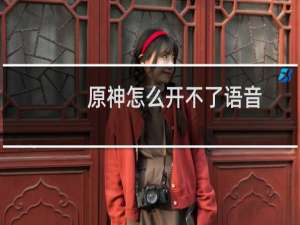 原神怎么开不了语音