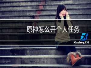原神怎么开个人任务