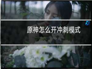 原神怎么开冲刺模式