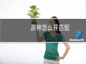 原神怎么开匹配