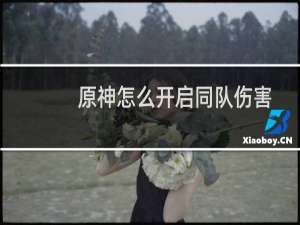 原神怎么开启同队伤害