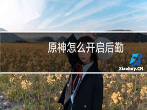 原神怎么开启后勤