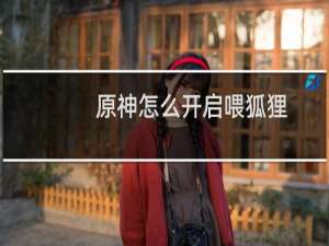 原神怎么开启喂狐狸