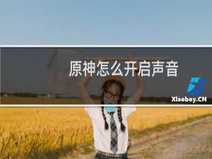 原神怎么开启声音