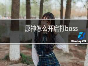 原神怎么开启打boss