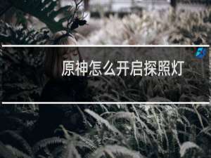 原神怎么开启探照灯