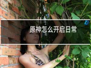 原神怎么开启日常