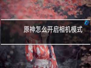 原神怎么开启相机模式